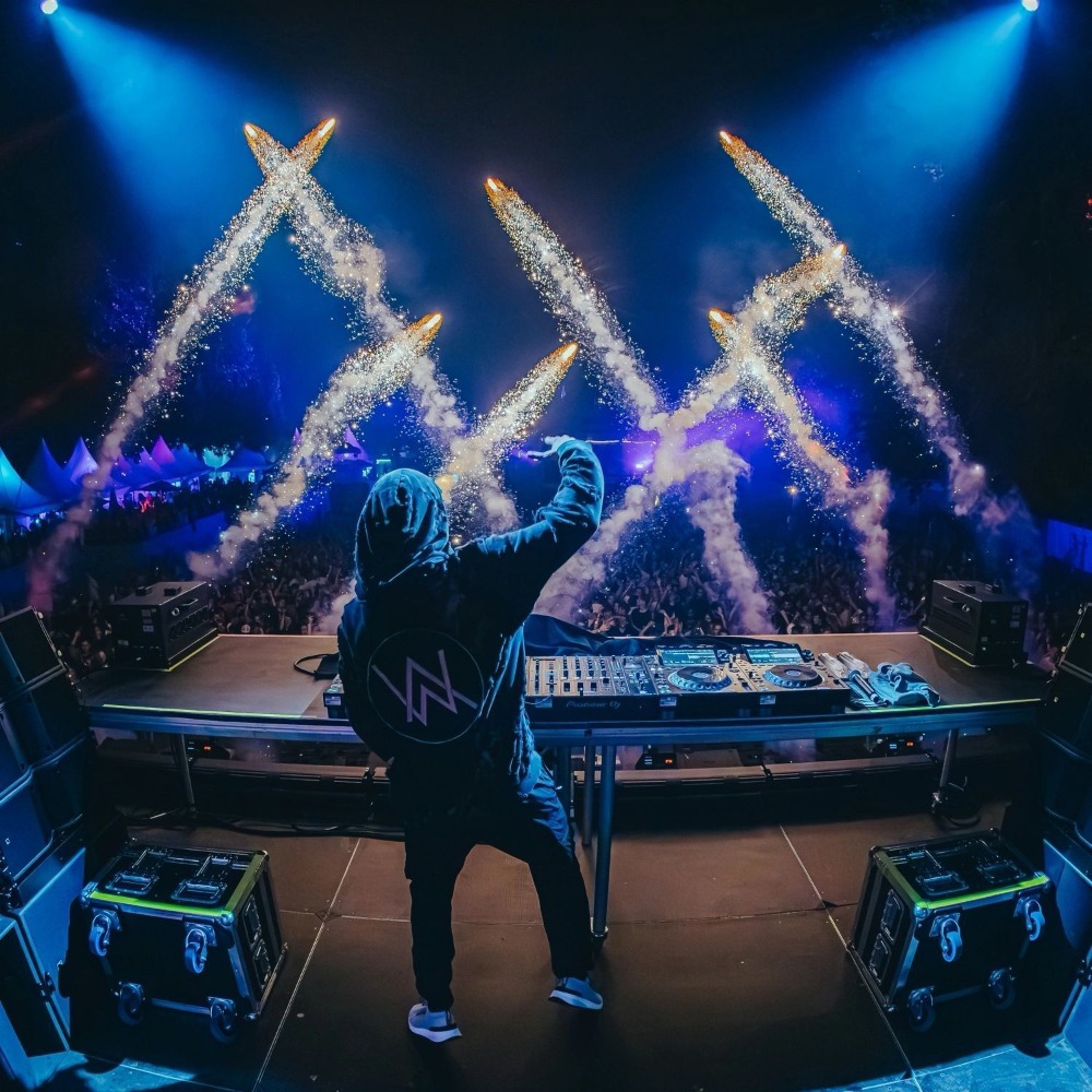 Alan Walker EDM Compilation CD - Audio Music Cd review and price